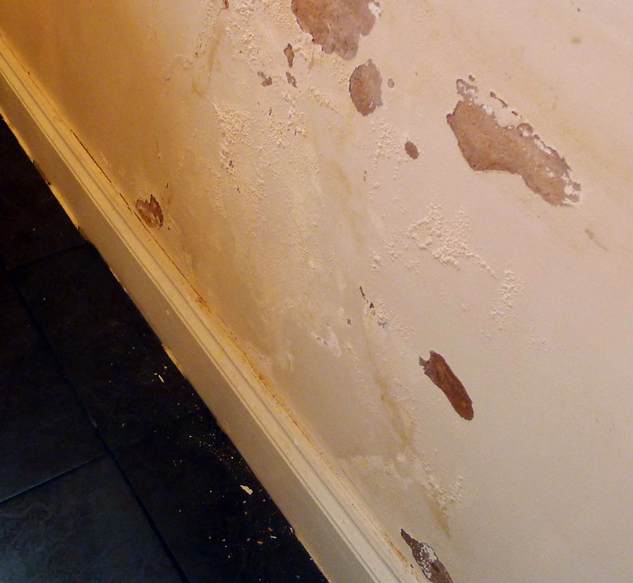 White wall with damage from excessive moisture and mold growth in Kirkland Washington