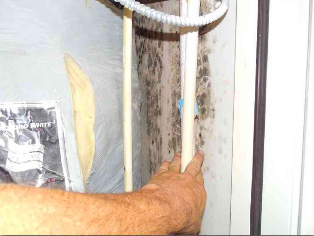 Mold Inspection revealing hidden black mold growth on a hidden surface in the basement HVAC system